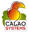 Calao Systems